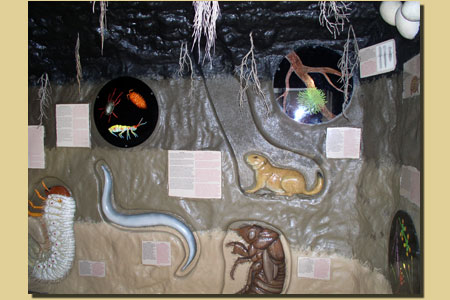 STTWKPtgExt1 STTWKPtgExt1