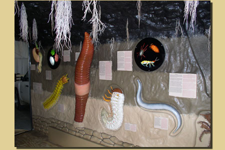 STTWKPtgExt2 STTWKPtgExt2