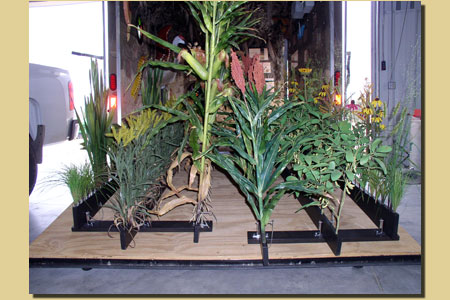 STTWMay11Progress5 STTWMay11Progress5