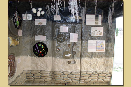 STTWMay11Progress6 STTWMay11Progress6