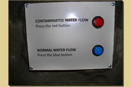 STTWwheatplants STTWwheatplants